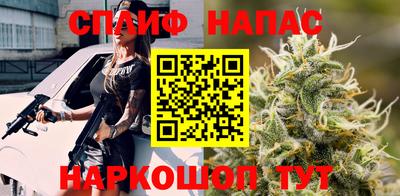 гашик Краснодар