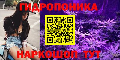 гашик Краснодар