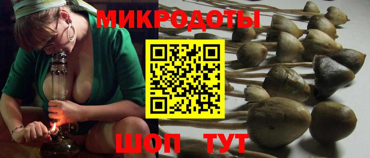Псилоцибиновые грибы GOLDEN TEACHER Арсеньев